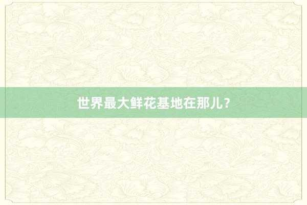 世界最大鲜花基地在那儿？