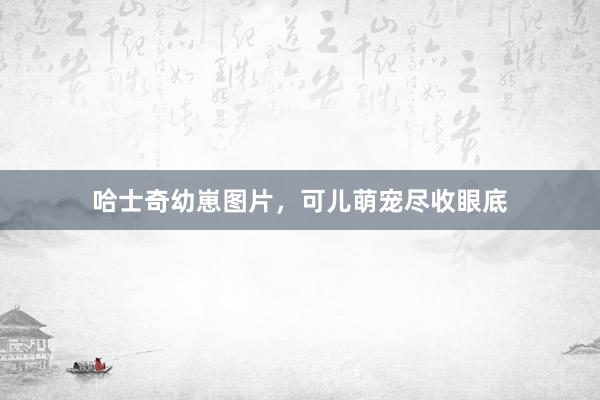 哈士奇幼崽图片，可儿萌宠尽收眼底