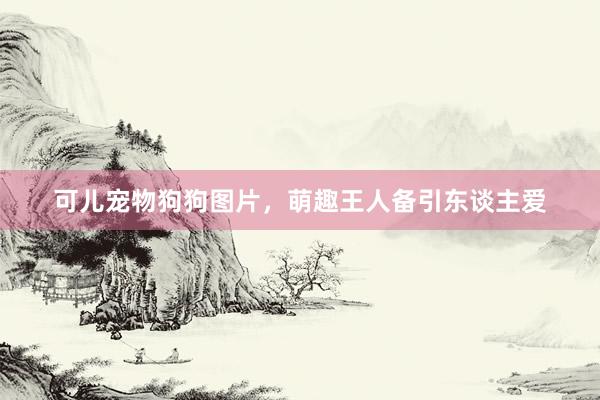 可儿宠物狗狗图片，萌趣王人备引东谈主爱