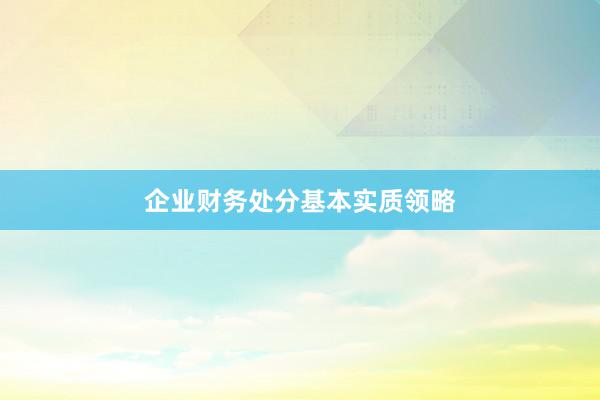 企业财务处分基本实质领略